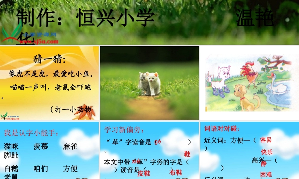 《小猫咪穿鞋子》温艳华