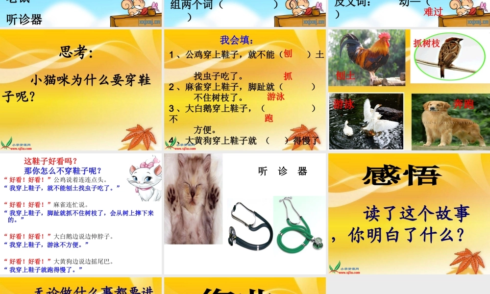 《小猫咪穿鞋子》温艳华