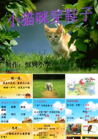 《小猫咪穿鞋子》温艳华