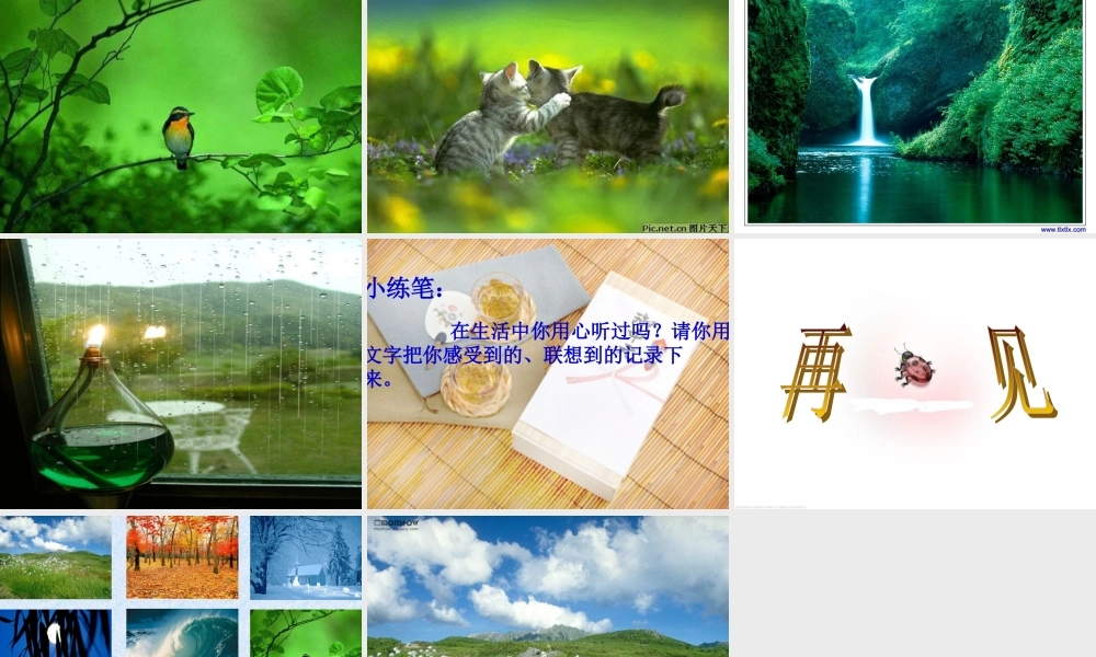 七年级语文下册 (你一定会听见的)课件(三) 鲁教版 课件