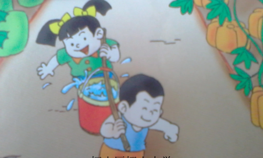 冬瓜和南瓜课件 (2)