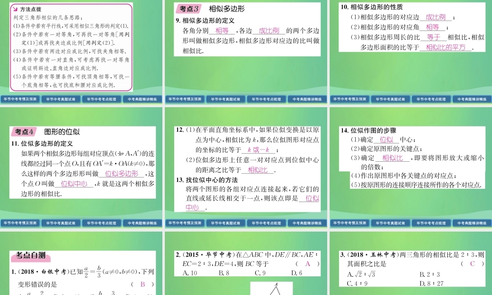中考数学复习 第5章 图形的相似与解直角三角形 第19课时 图形的相似与位似(精讲)课件