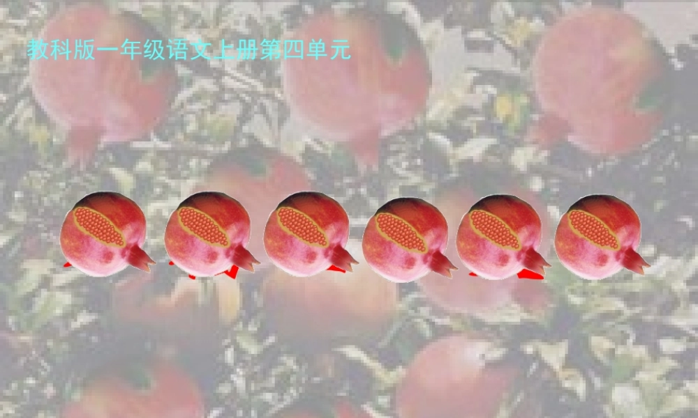 (教科版)一年级语文上册课件石榴娃娃笑了2