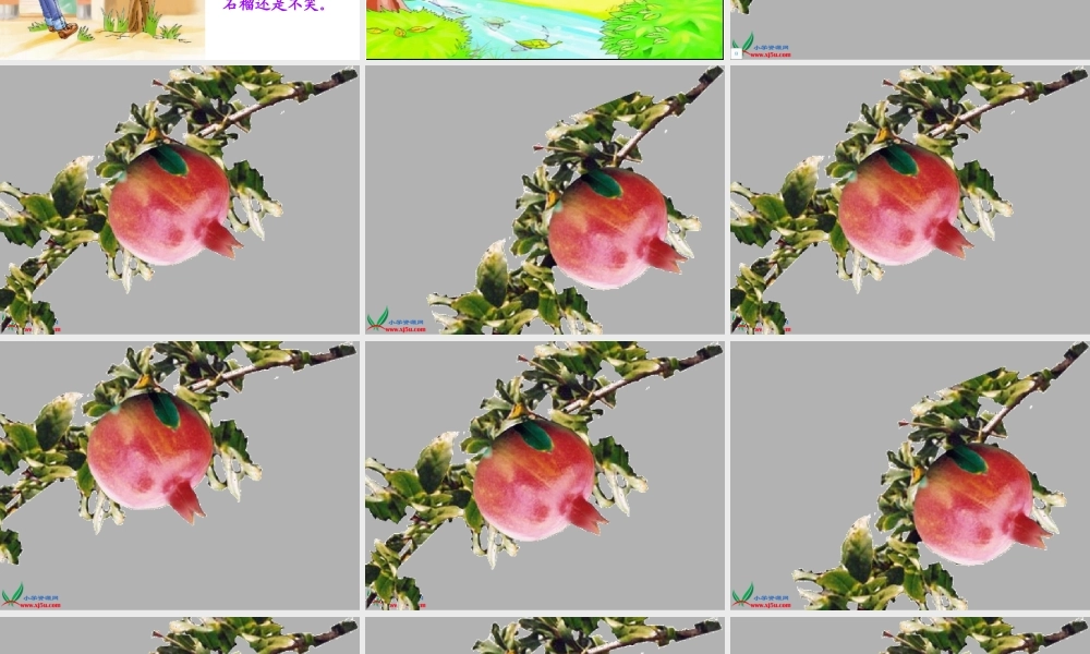 (教科版)一年级语文上册课件石榴娃娃笑了2