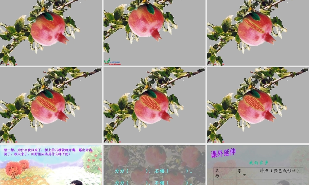 (教科版)一年级语文上册课件石榴娃娃笑了2