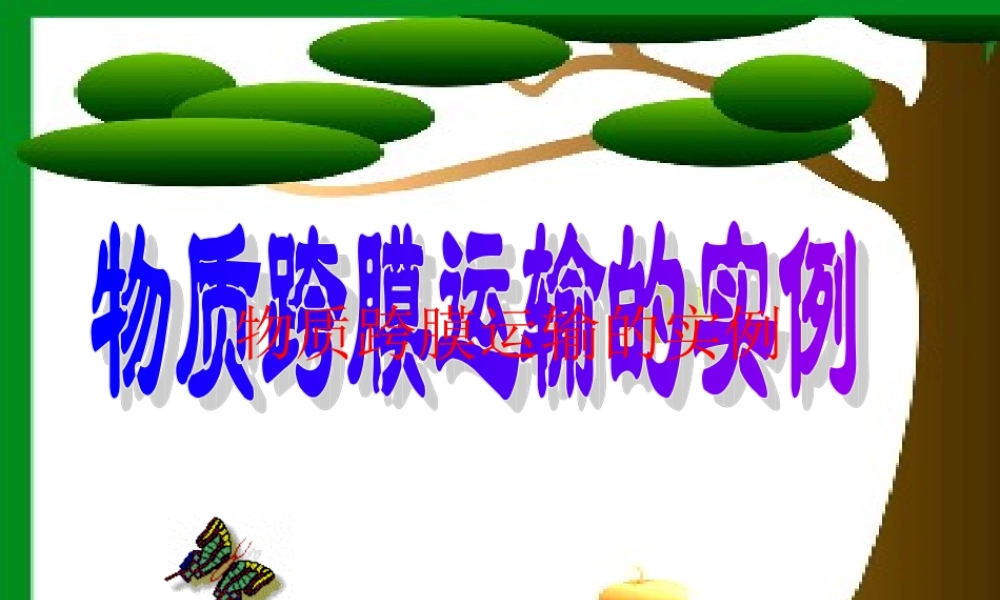 物质跨膜运输的实例