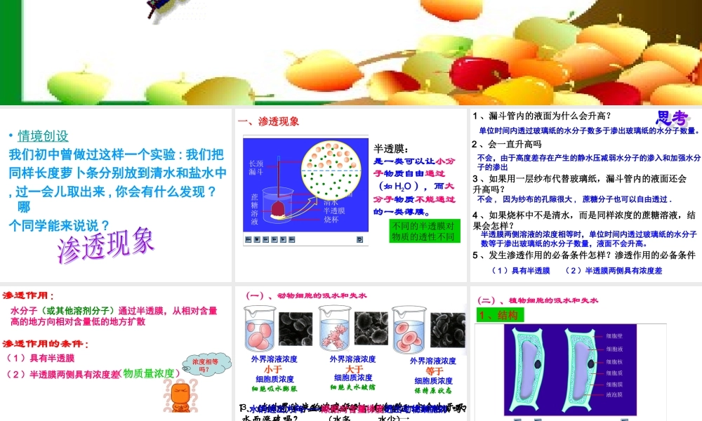 物质跨膜运输的实例