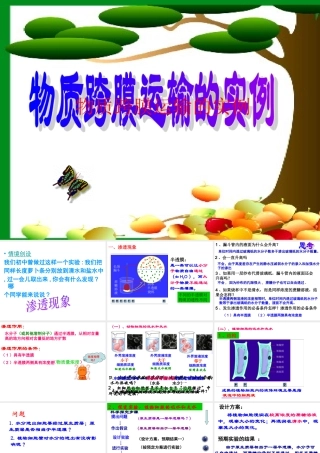 物质跨膜运输的实例