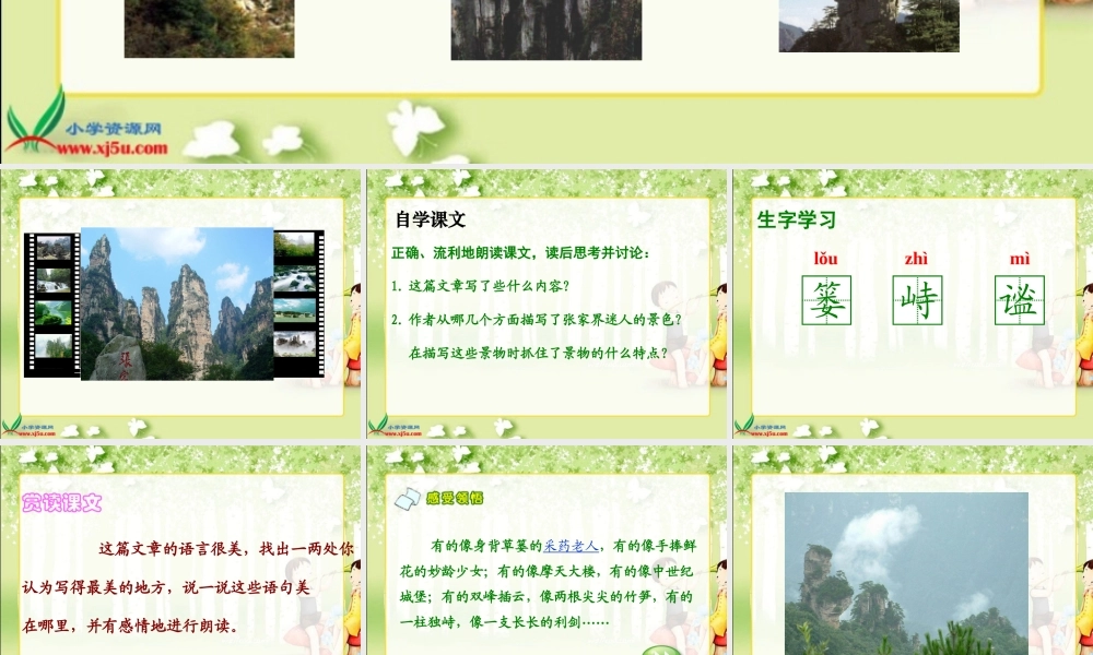 六年级语文上册_迷人的张家界_1