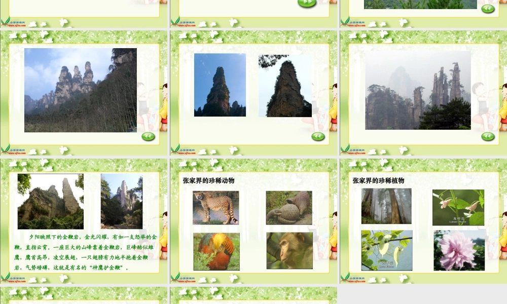 六年级语文上册_迷人的张家界_1