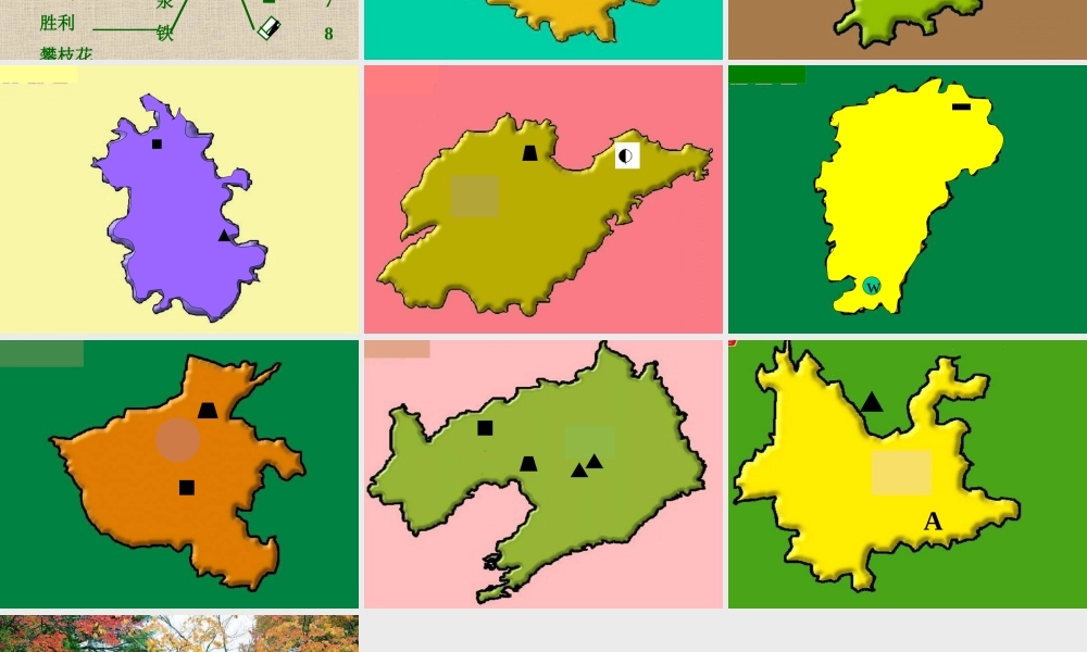 八年级地理 中国的矿产资源课件