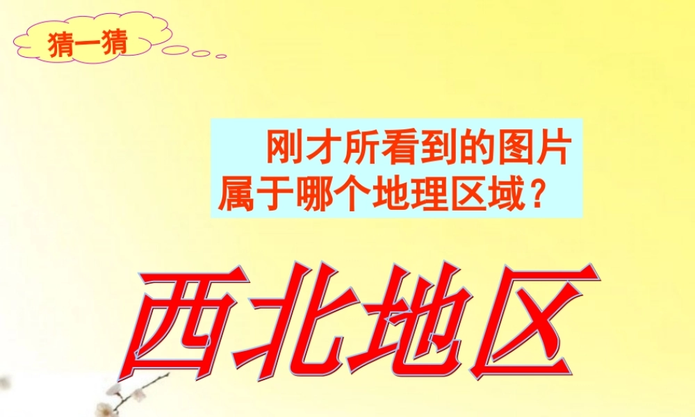 八年级地理上册 中国区域地理——西北地区 课件 湘教版 课件