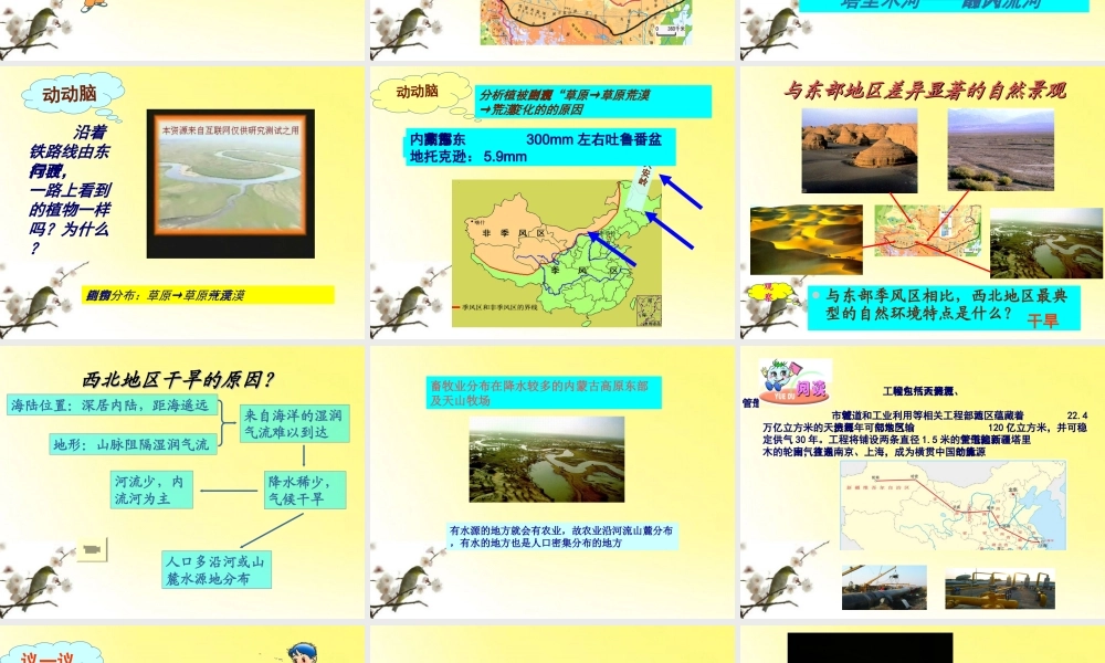 八年级地理上册 中国区域地理——西北地区 课件 湘教版 课件