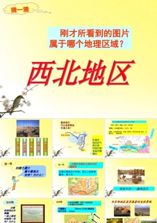 八年级地理上册 中国区域地理——西北地区 课件 湘教版 课件
