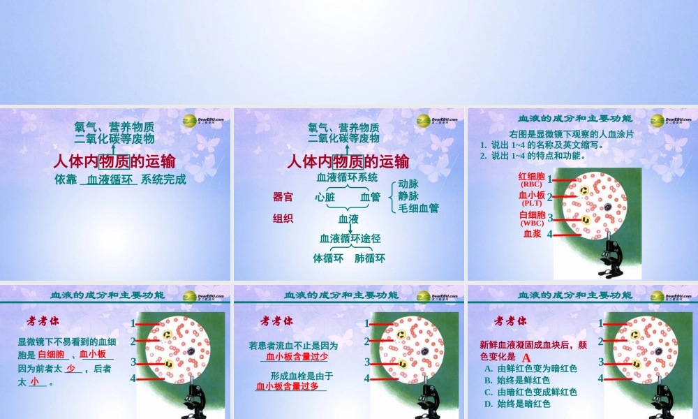 八年级生物上册 第四章(人体内物质的运输)课件 鲁科版 课件