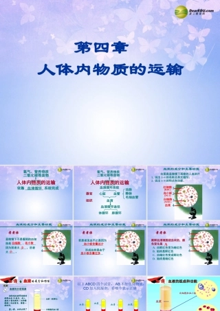 八年级生物上册 第四章(人体内物质的运输)课件 鲁科版 课件