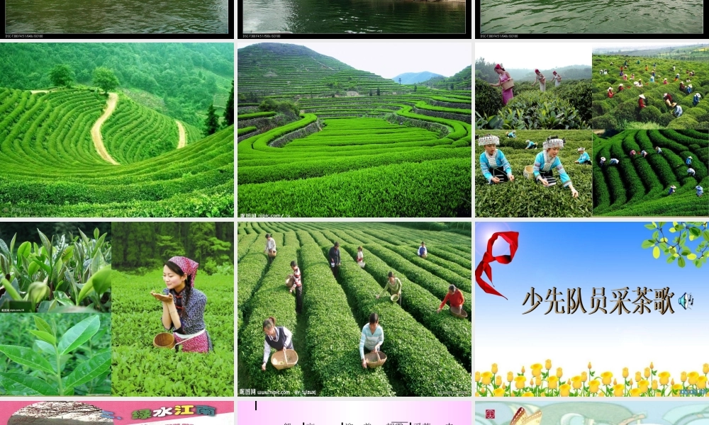 《少先队员采茶歌》课件123