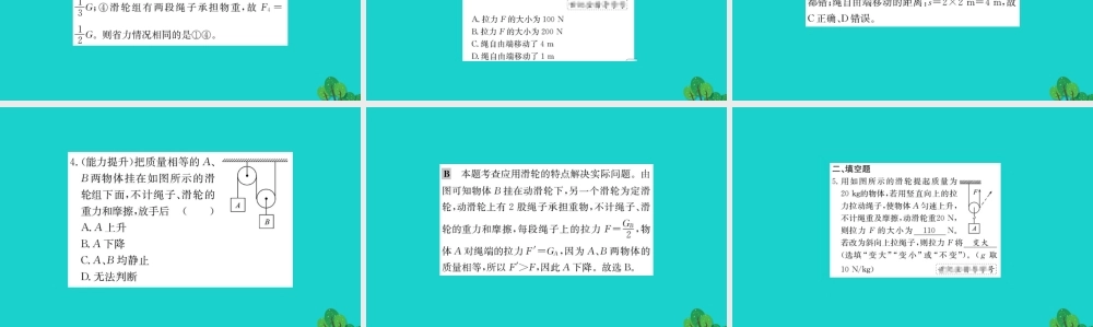 八年级物理全册 第十章 第二节 滑轮及其应用习题课件 (新版)沪科版 课件