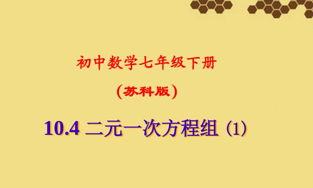中学七年级数学下册(二元一次方程组(1)) 课件 苏科版 课件