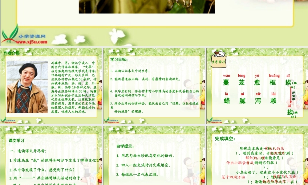 六年级语文_珍珠鸟_1