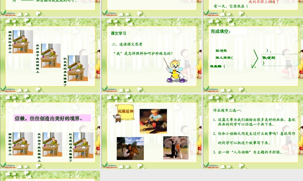 六年级语文_珍珠鸟_1