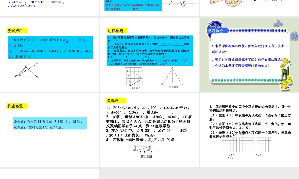 勾股定理第四课时