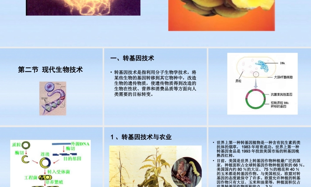 八年级生物下册 25.2现代生物技术课件 北师大版 课件