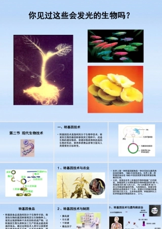 八年级生物下册 25.2现代生物技术课件 北师大版 课件