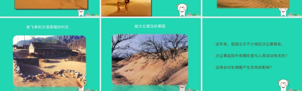 七年级生物下册 4.7.1(分析人类活动对生态环境的影响)生活中的沙尘暴素材 (新版)新人教版 素材