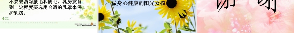青春期生理教育