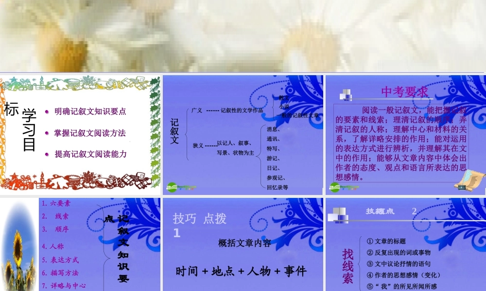 九年级语文上册 (记叙文阅读专题)教学课件 人教新课标版 课件