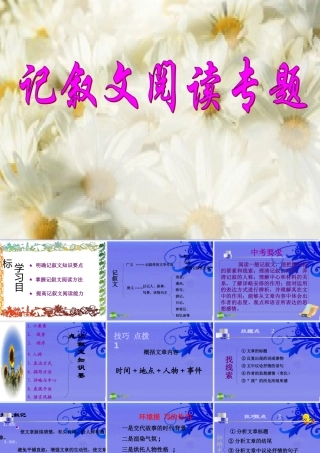 九年级语文上册 (记叙文阅读专题)教学课件 人教新课标版 课件