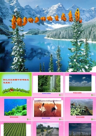七年级生物上册 第2章第1节多种多样的生态系统课件(第2课时) 苏科版 课件