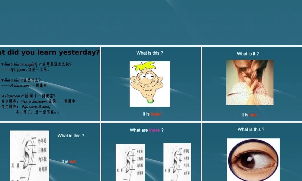 七年级英语上册 Starter Module 2 Unit 2 Please touch your head1课件 外研版 课件