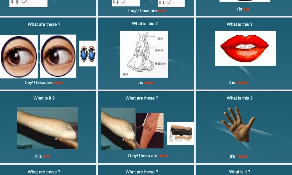 七年级英语上册 Starter Module 2 Unit 2 Please touch your head1课件 外研版 课件