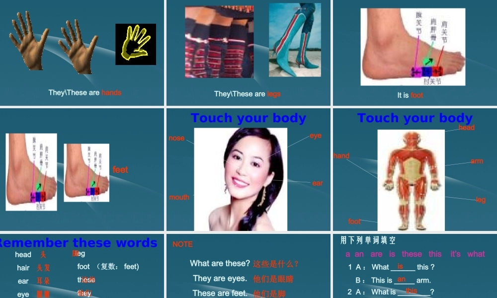 七年级英语上册 Starter Module 2 Unit 2 Please touch your head1课件 外研版 课件