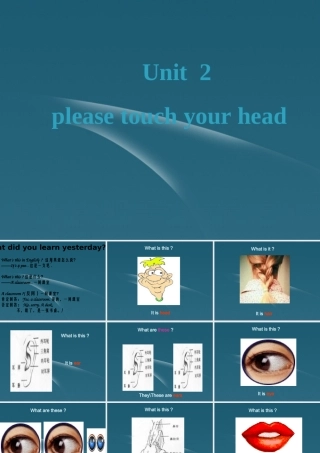 七年级英语上册 Starter Module 2 Unit 2 Please touch your head1课件 外研版 课件