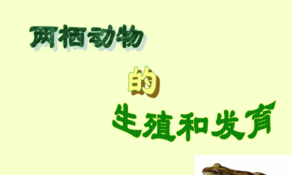 两栖动物的生殖和发育八年级生物课件示例一 课件