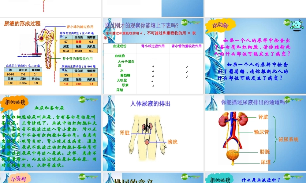 七年级生物下册 第三单元第四章第一节尿的形成和排出课件 济南版 课件