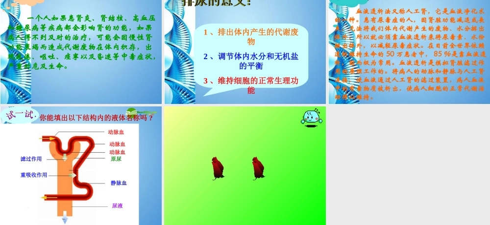 七年级生物下册 第三单元第四章第一节尿的形成和排出课件 济南版 课件