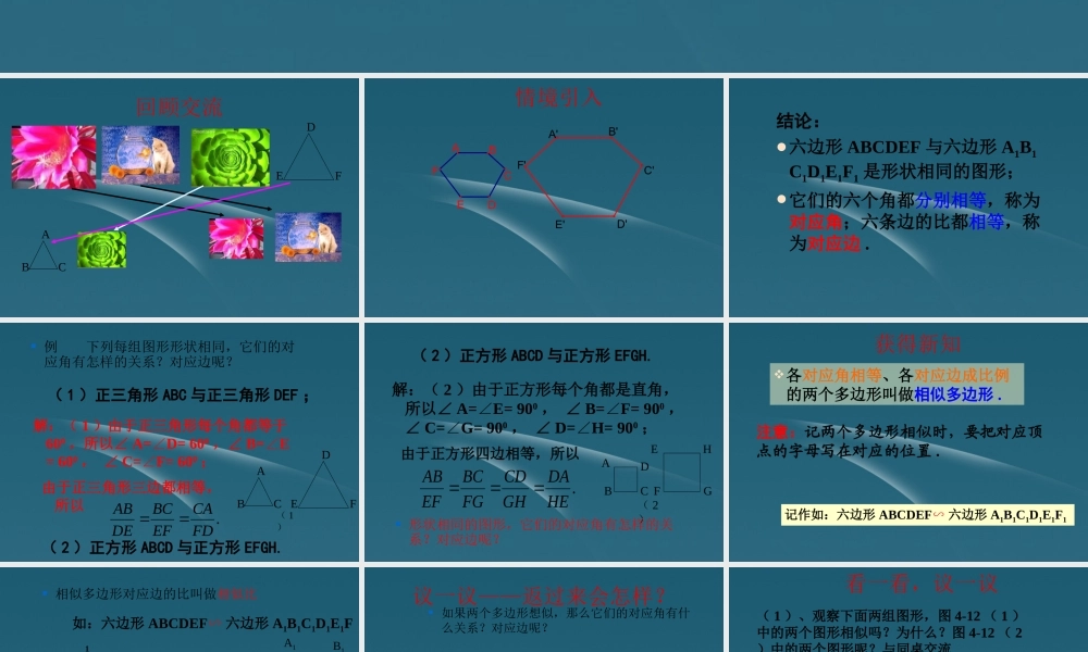 九年级数学(相似多边形)课件