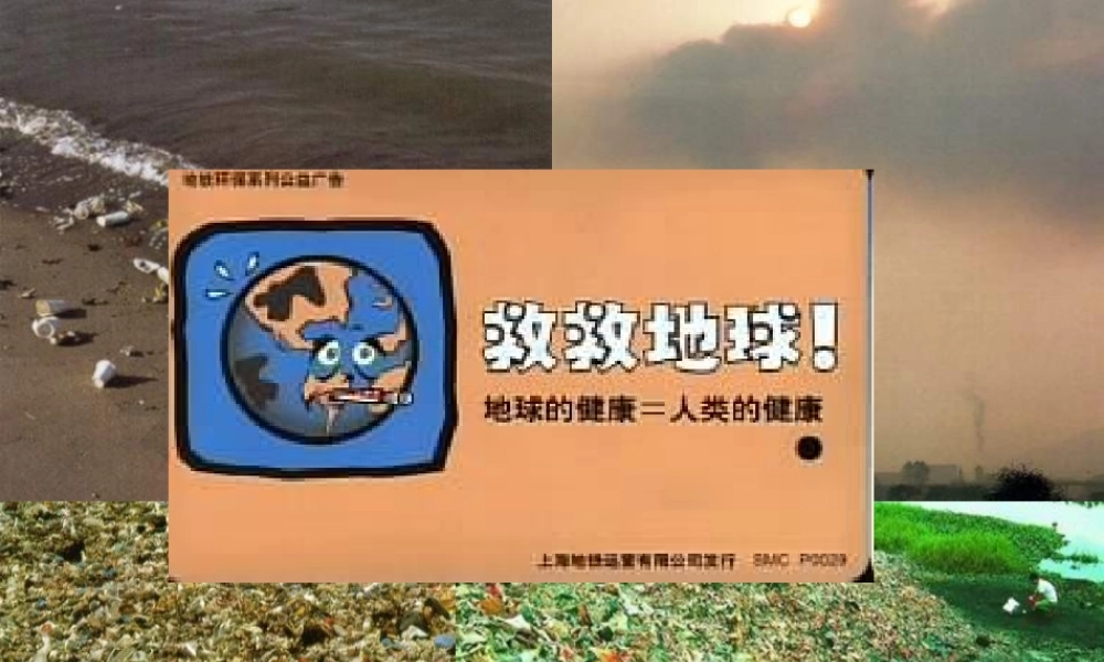 八年级语文下册(喂，出来)优秀课件(41页) 人教新课标版 课件