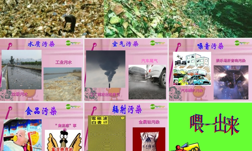 八年级语文下册(喂，出来)优秀课件(41页) 人教新课标版 课件