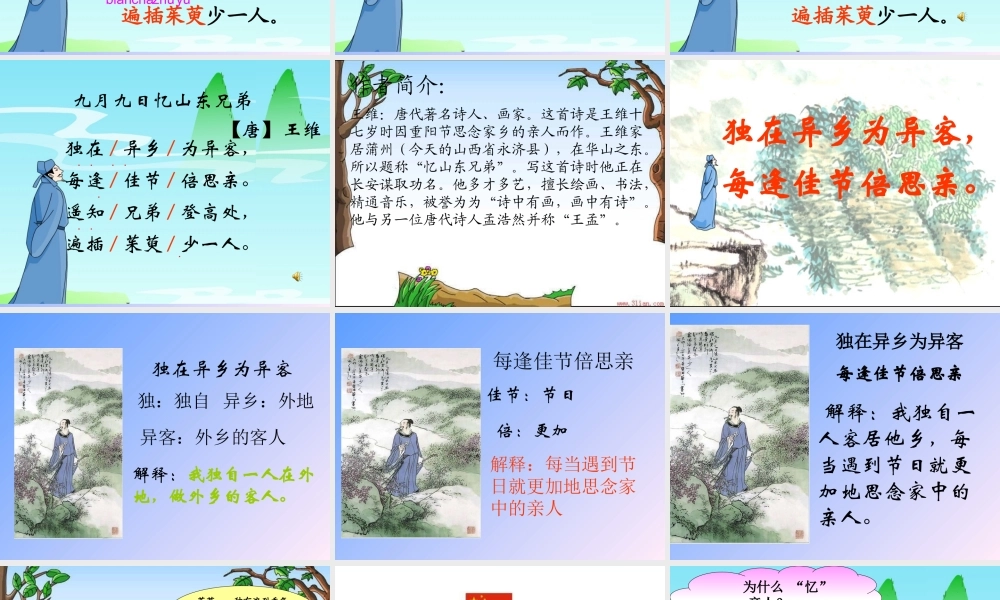 九月九日忆山东兄弟