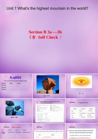 八年级英语下册 Unit 7 What s the highest mountain in the world Period 4课件 (新版)人教新目标版 课件