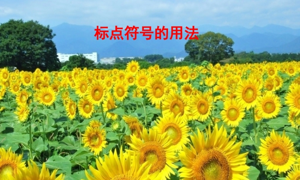 标点符号的用法