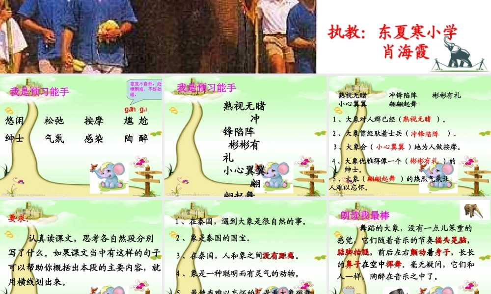 公开课与象共舞2