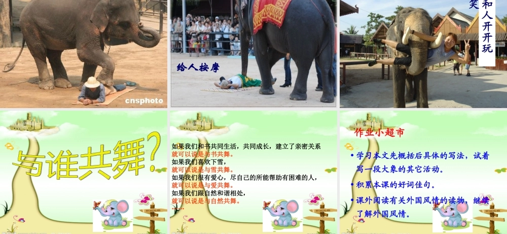 公开课与象共舞2