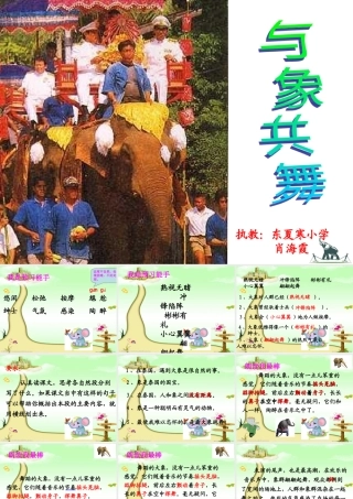 公开课与象共舞2