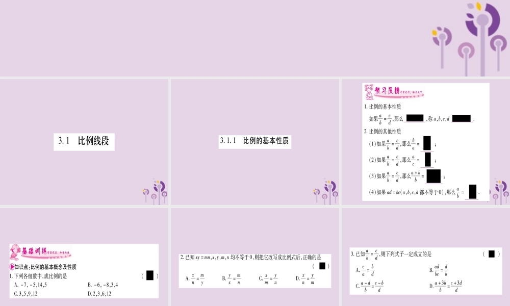 九年级数学上册 第3章 图形的相似 31 比例线段 311 比例的基本性质作业课件 (新版)湘教版 课件